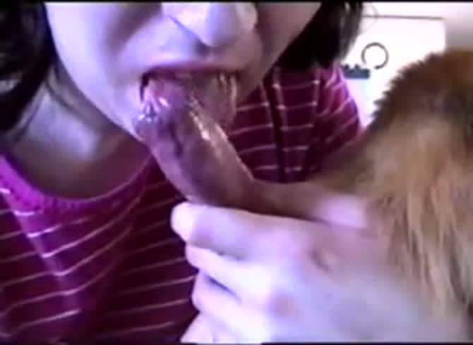 Video :Hot brunette teen sucking a big dog dick